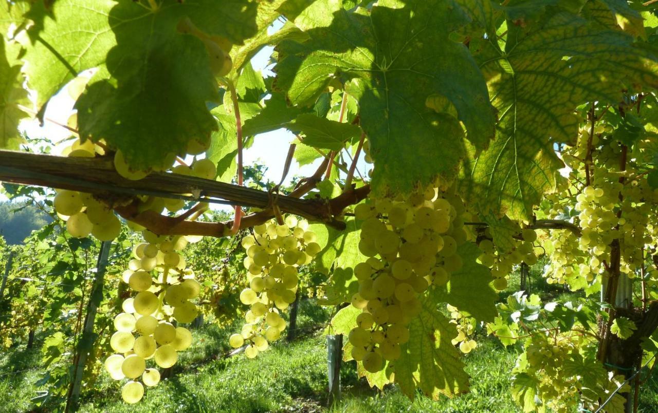 Weingut- Gaestezimmer Marko Leutschach Exterior foto