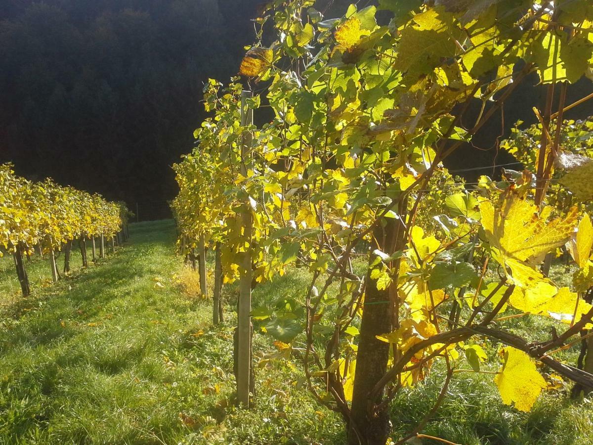 Apartamento Weingut- Gaestezimmer Marko Leutschach Exterior foto